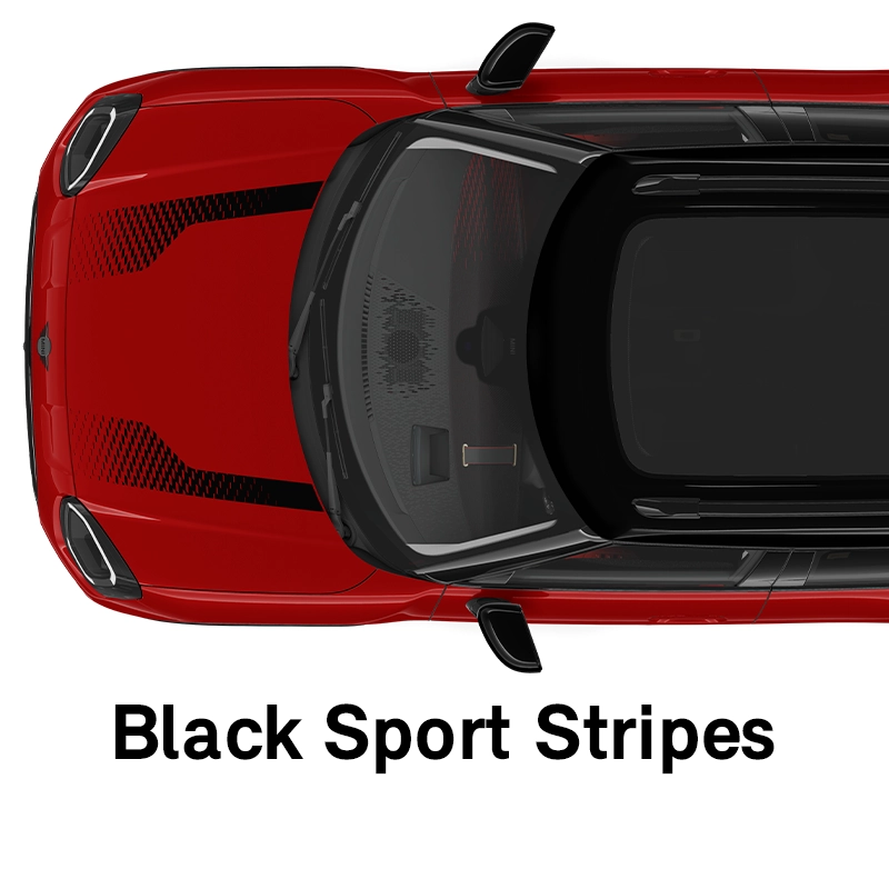  MINI – wyposażenie – linia jcw – czarne sportowe pasy