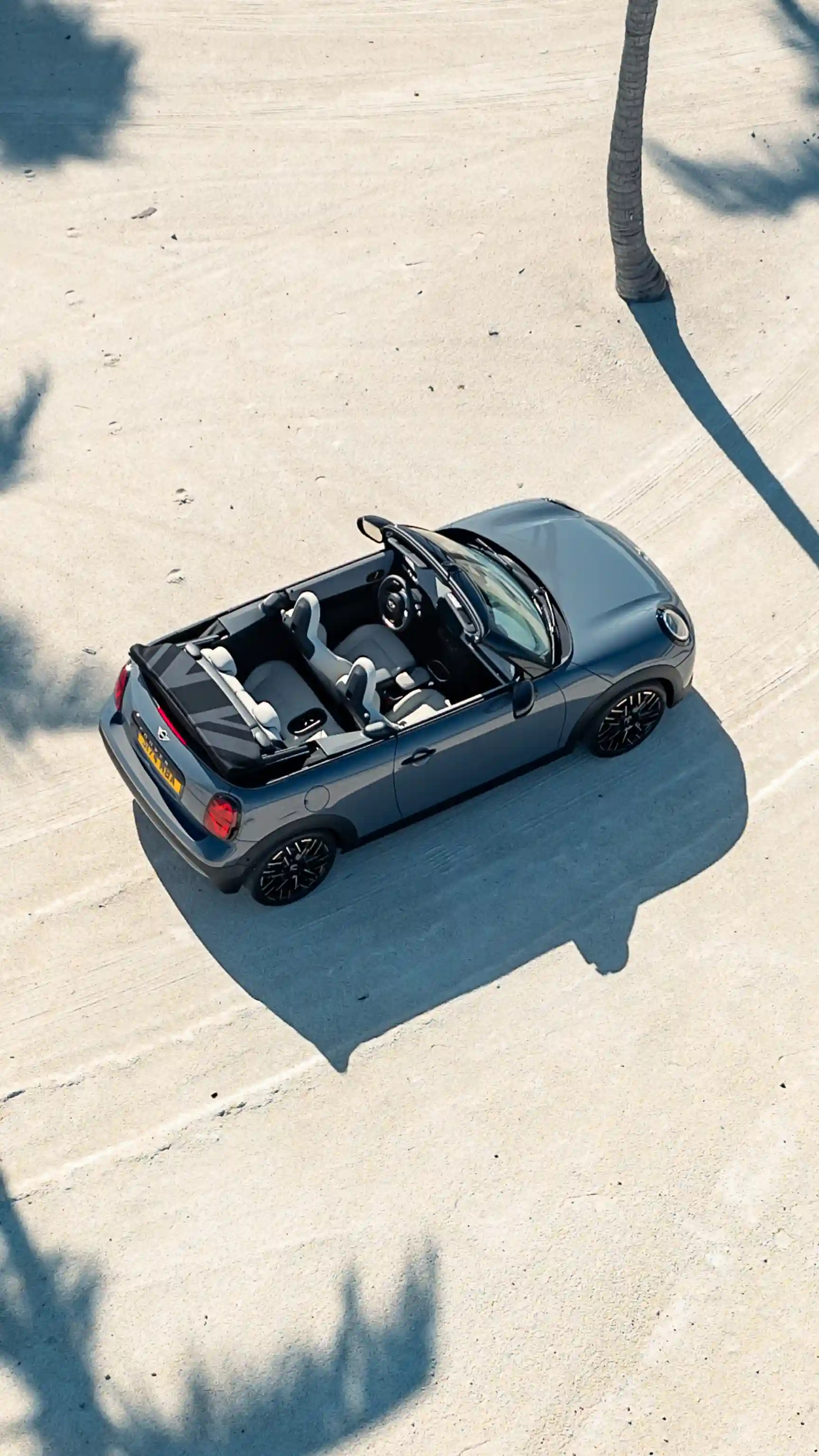 MINI Cooper Cabrio – palmy