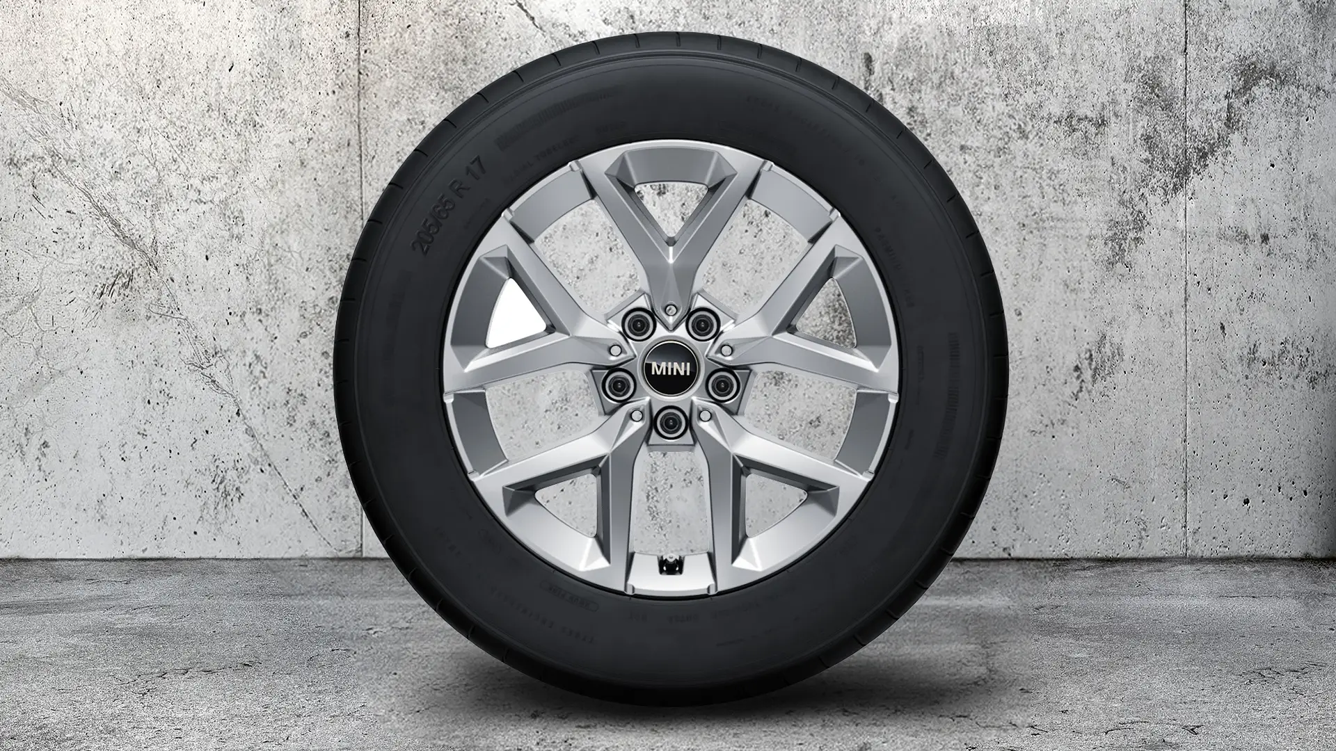 17'' Y-Spoke 896 – Refined Silver