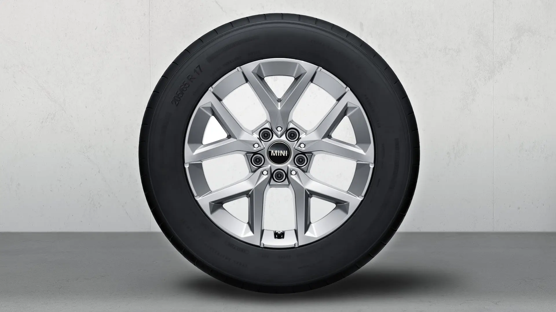 17'' Y-Spoke 896 – Refined Silver