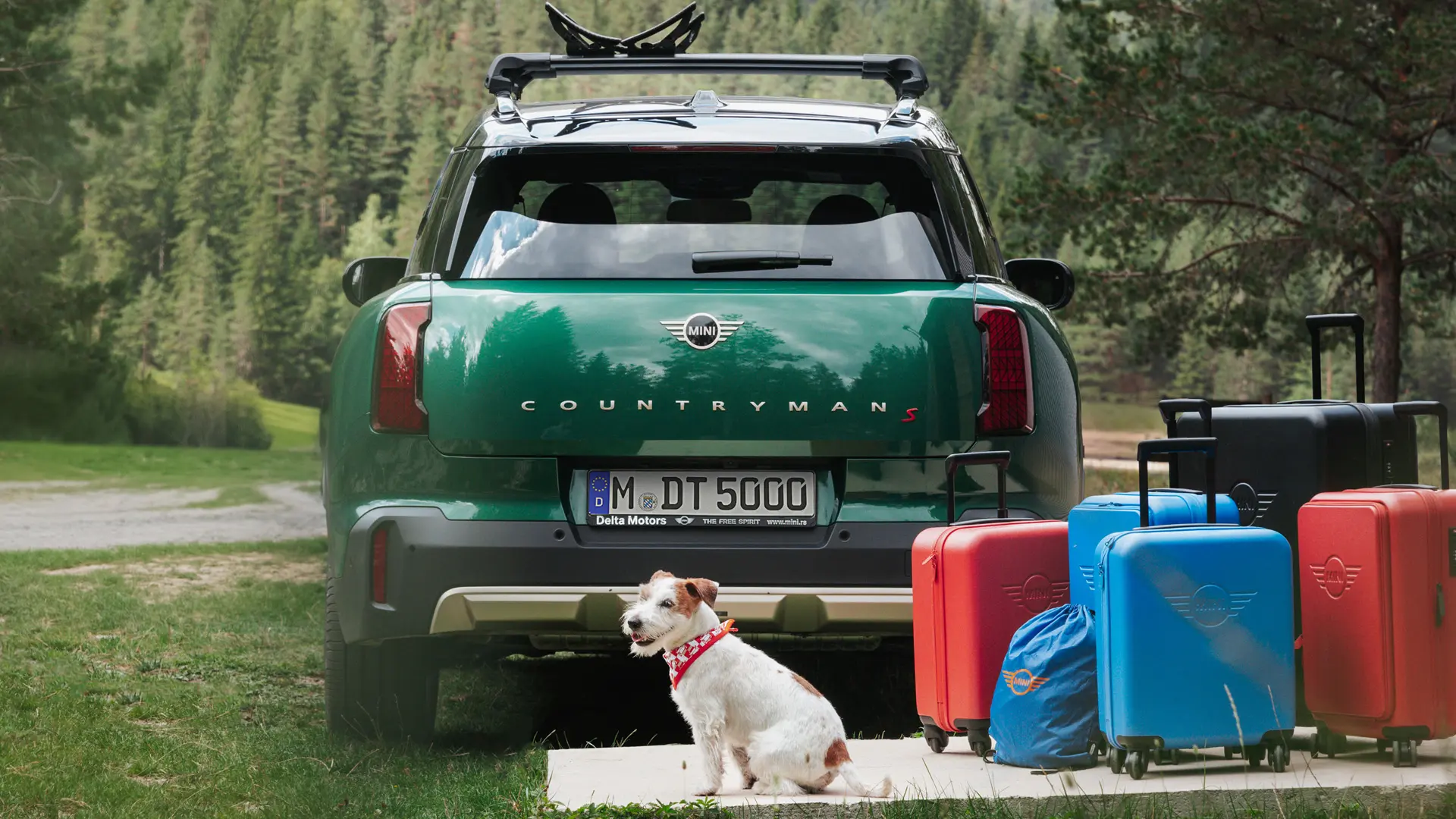 MINI Countryman w kolorze zielonym z różnymi produktami do przewożenia bagażu dostępnymi w sklepie MINI Lifestyle stojącymi za pojazdem razem z psem rasy Jack Russell. 