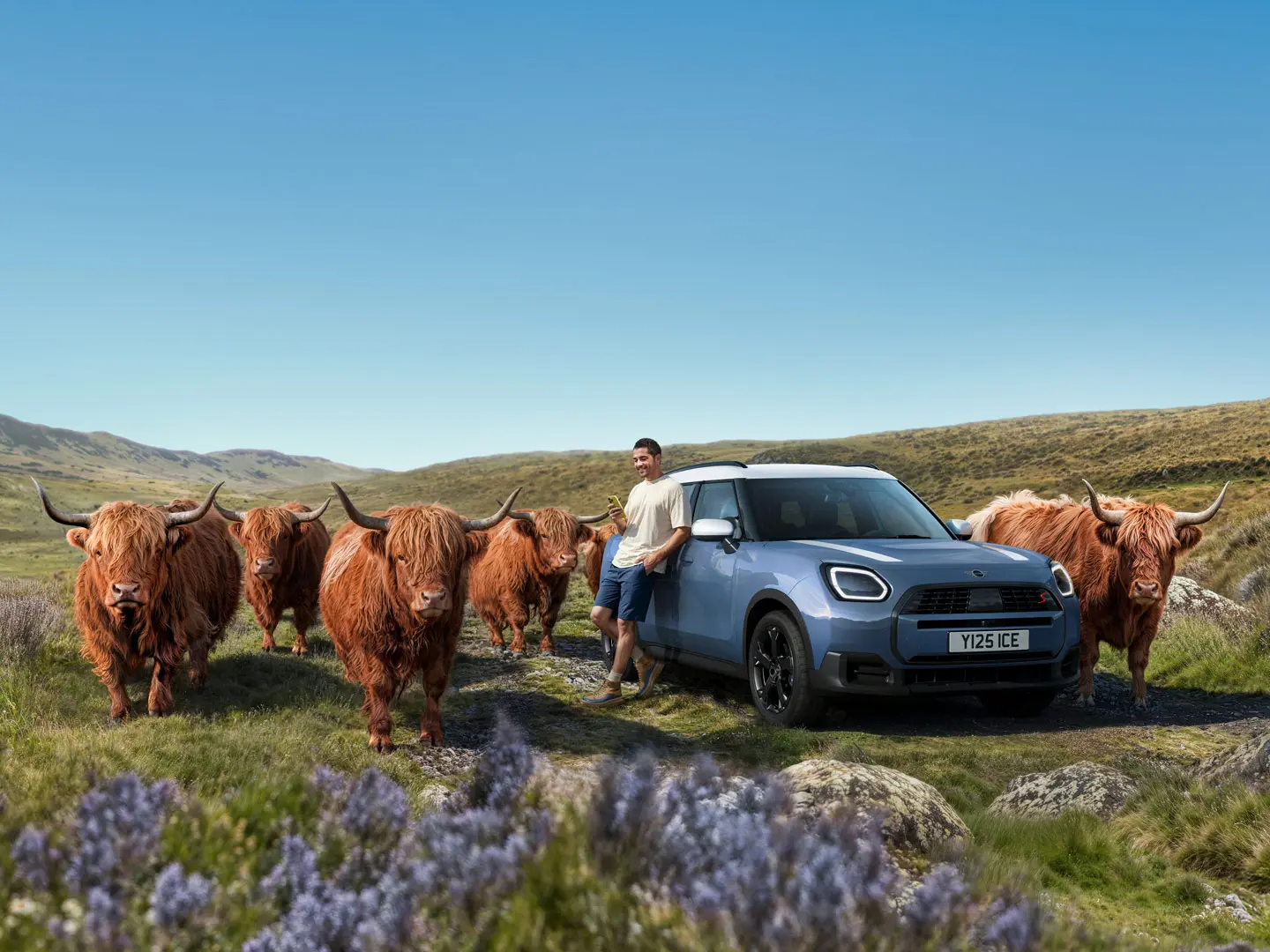 Mężczyzna opiera się swobodnie o swojego MINI Countryman S ALL4, otoczony szkockimi bykami rasy Highland na pagórkowatym terenie.
