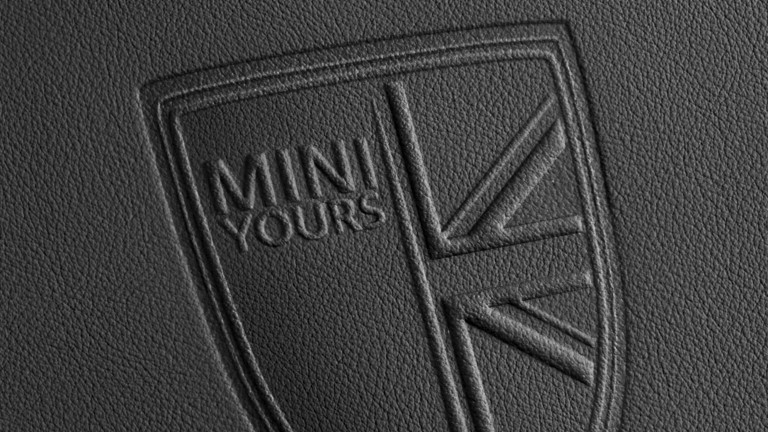 INDYWIDUALIZACJA MINI YOURS